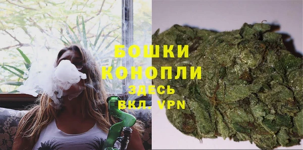 прущие крисы Шадринск