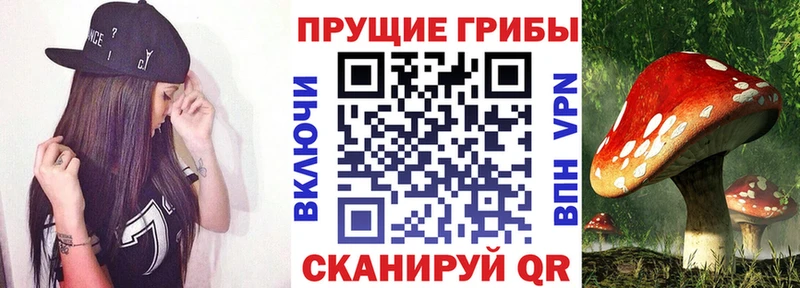 Галлюциногенные грибы MAGIC MUSHROOMS  Шелехов 